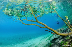 Unusual diving encounter by Raoul Caprez 
